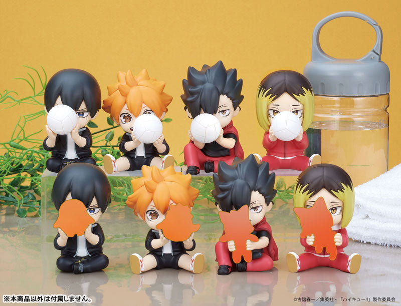 PERIHAPI! Hide & Seek Kakurenbo "Haikyu!!" Karasuno & Nekoma