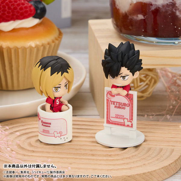 OchaTomo Series "Haikyu!!" Itadaki no Break Time