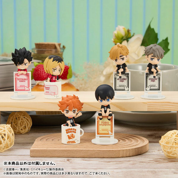 OchaTomo Series "Haikyu!!" Itadaki no Break Time