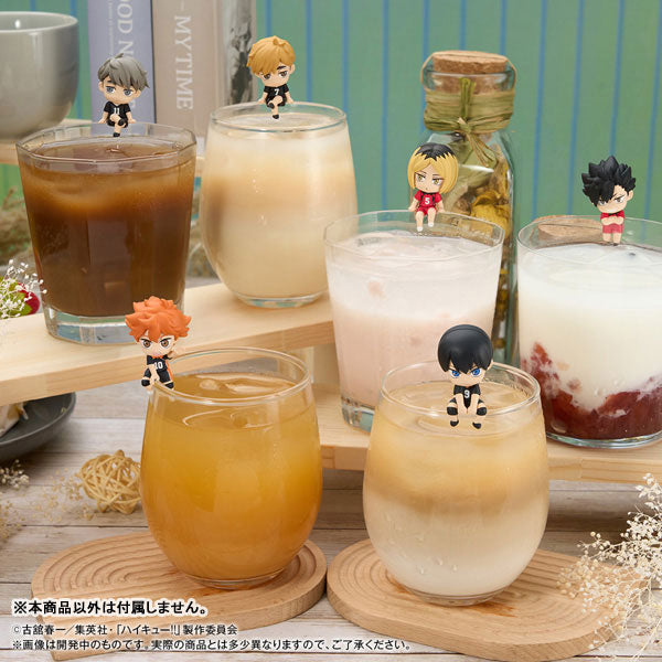 OchaTomo Series "Haikyu!!" Itadaki no Break Time