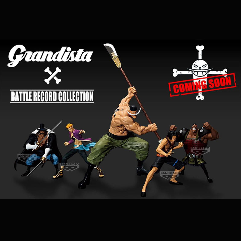 "One Piece" BATTLE RECORD COLLECTION-VISTA-