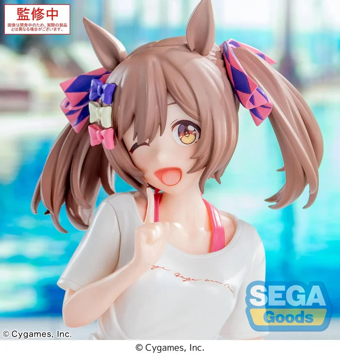 "Umamusume: Pretty Derby" Yumemirize Smart Falcon -Gaze on Me!-