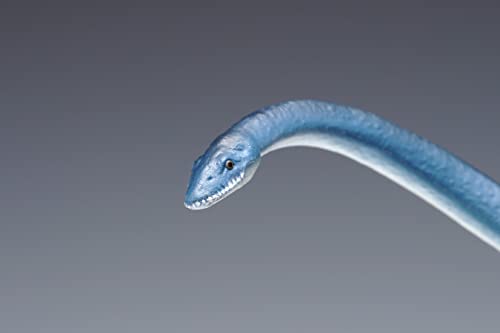 Futabasaurus suzukii