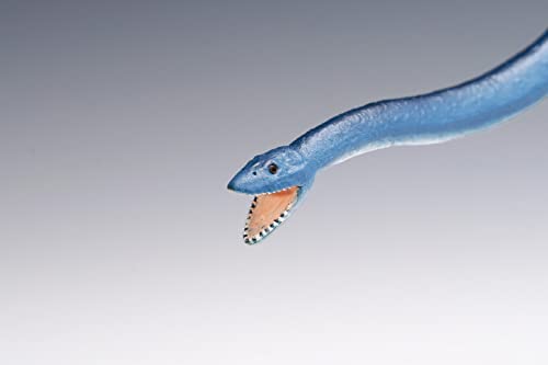 Futabasaurus suzukii