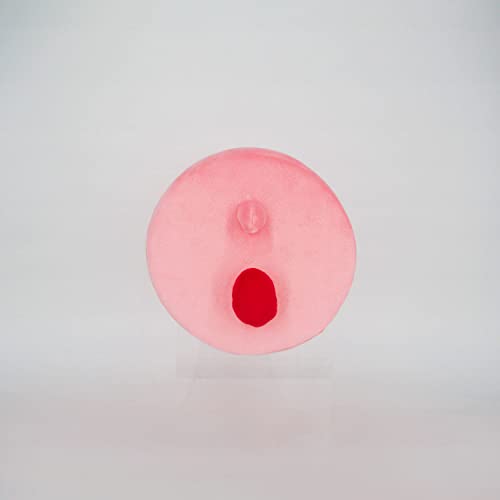 Kirby and the Forgotten Land Pipe Mouth Plush with Blanket