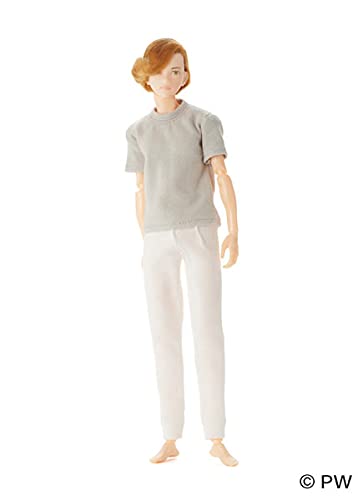 【Pet Works】1/6 Boy Picture Book B2109 Eight