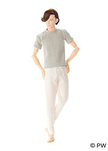【Pet Works】1/6 Boy Picture Book B2109 Nine