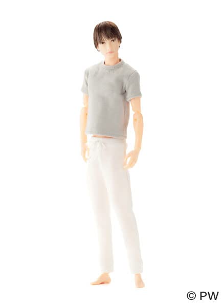 【Pet Works】1/6 Boy Picture Book B2207 Nine