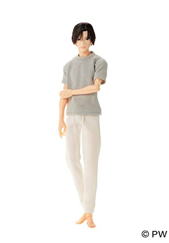 【Pet Works】1/6 Boy Picture Book B2104 Eight