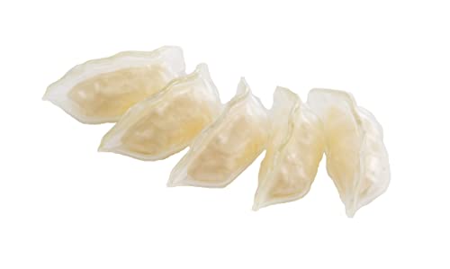 Boiled Dumplings Plastic Model Full Plate