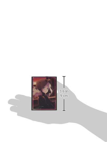 Bushiroad Sleeve Collection High-grade Vol. 2346 "The Case Files of Lord El-Melloi II -Rail Zeppelin Grace Note-" Gray Part. 2