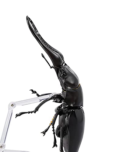 REVO GEO Prosopocoilus giraffa
