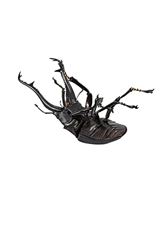 REVO GEO Prosopocoilus giraffa