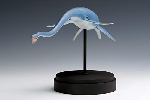 Futabasaurus suzukii