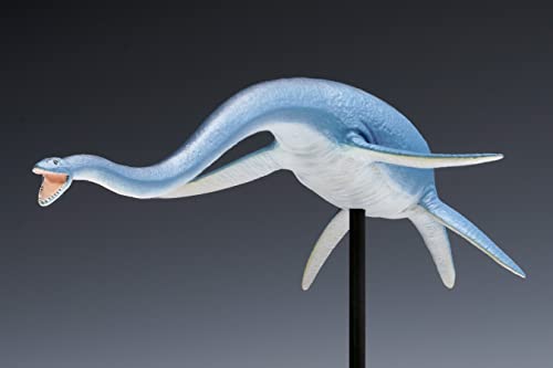 Futabasaurus suzukii