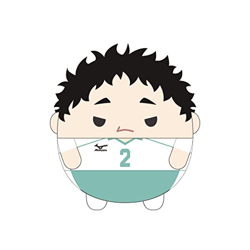 HQ-34 "Haikyu!!" Fuwakororin Big 5 C Matsukawa Issei