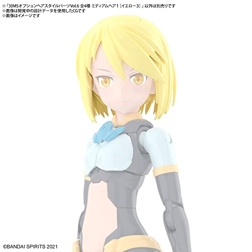 30MS Optional Hair Style Parts Vol. 6 Total 4 Types