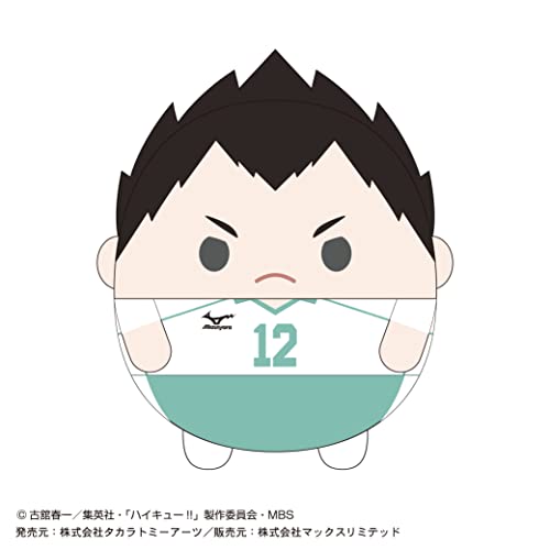 HQ-28 "Haikyu!!" Fuwakororin (M Size) 4 C Kindaichi Yuutarou