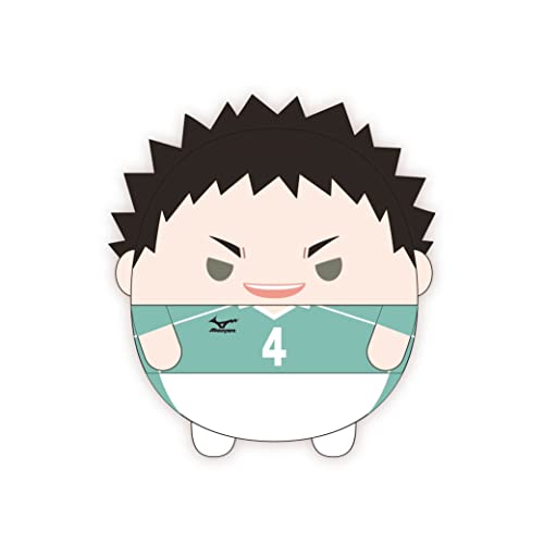 HQ-41 "Haikyu!!" Fuwakororin (M Size) 7 D Iwaizumi Hajime