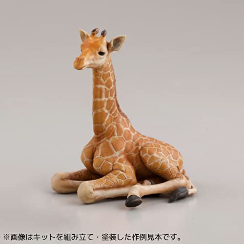 ARTPLA Keeper & Infant Set
