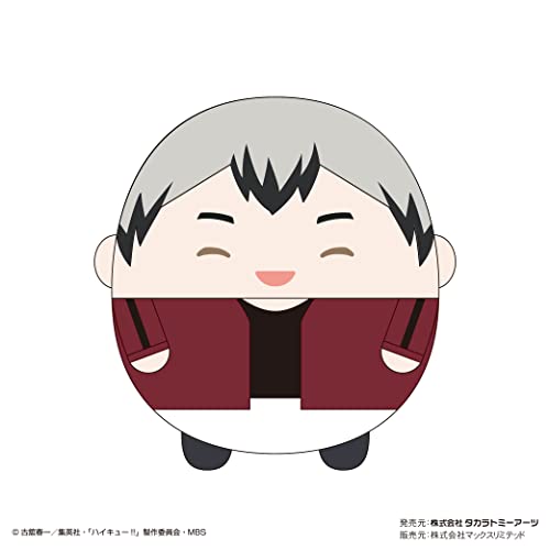 HQ-30 "Haikyu!!" Fuwakororin (M Size) Special H Kita Shinsuke