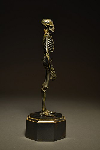 Gaikotsu (Iron Rust version) KT Project (KT-005) Revoltech Takeya - Kaiyodo