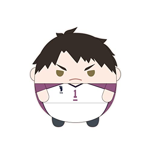 HQ-42 "Haikyu!!" Fuwakororin Big 7 F Ushijima Wakatoshi
