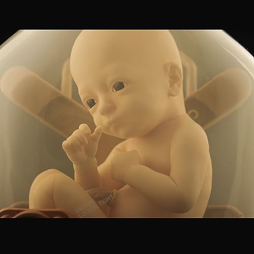 1/1 Scale "Death Stranding" BBPOD LIKE Ver.