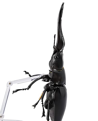 REVO GEO Prosopocoilus giraffa