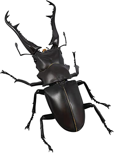 【Kaiyodo】REVO GEO Prosopocoilus giraffa