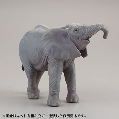 ARTPLA Keeper & Ceratotherium Simum Set