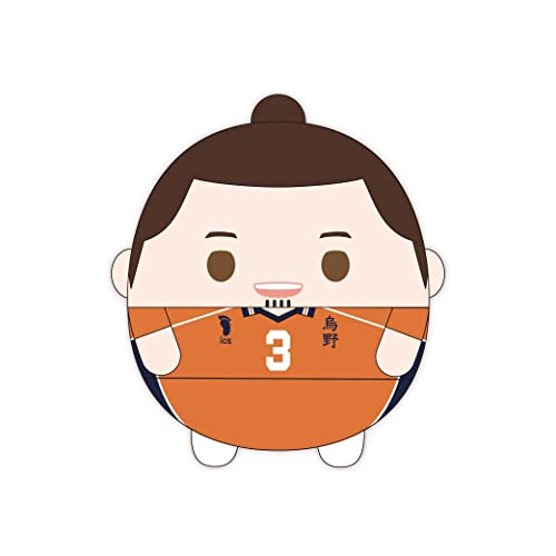 HQ-42 "Haikyu!!" Fuwakororin Big 7 B Azumane Asahi