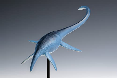Futabasaurus suzukii