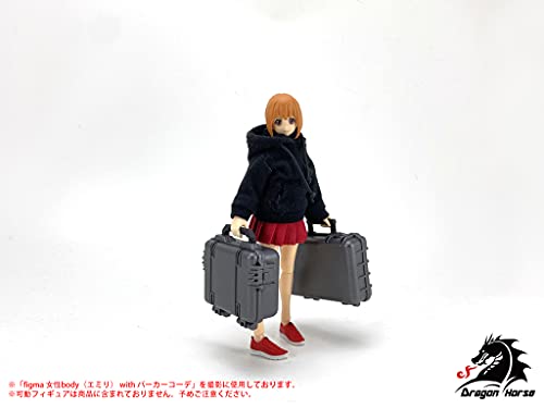DRAGON HORSE DH-E003 1/12 SCALE CASE SET A