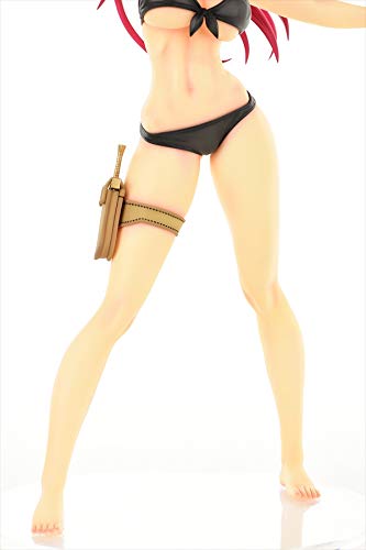 "Fairy Tail" Erza Scarlet Swimwear Gravure Style