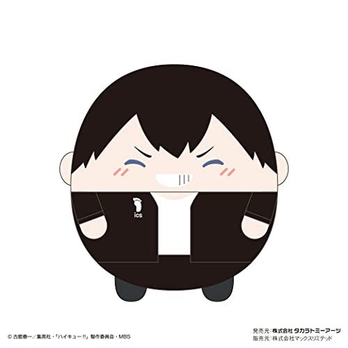 HQ-30 "Haikyu!!" Fuwakororin (M Size) Special B Kageyama Tobio
