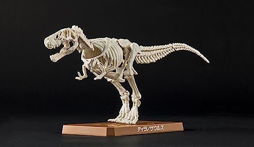 New Dinosaur Plastic Model Brand Tyrannosaurus