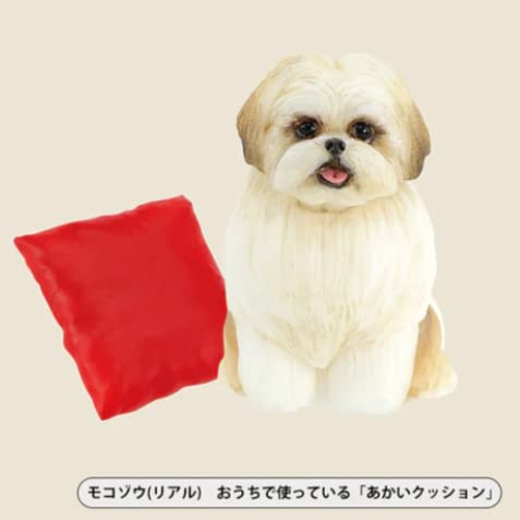 Mocozo Figure Collection Box
