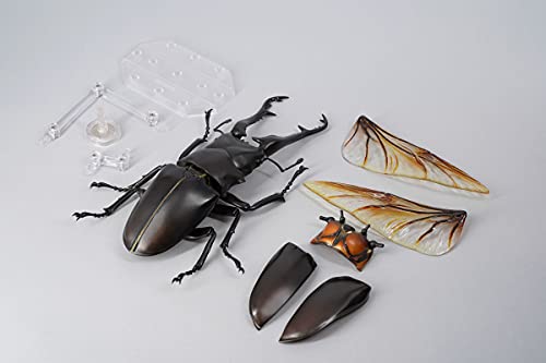 REVO GEO Prosopocoilus giraffa