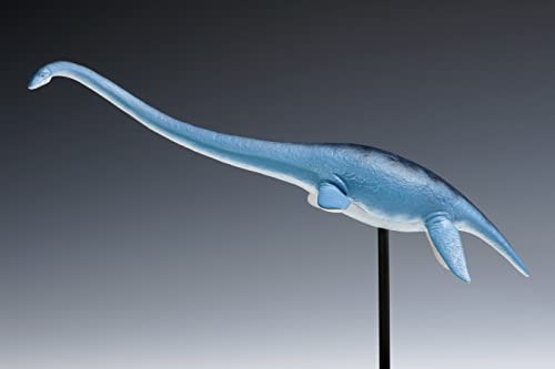 Futabasaurus suzukii