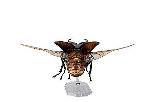REVO GEO Prosopocoilus giraffa