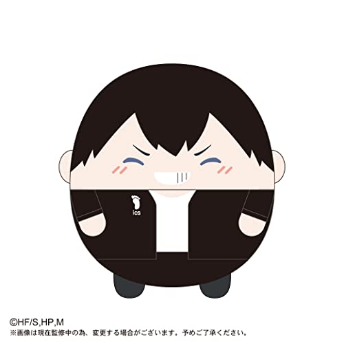 HQ-29 "Haikyu!!" Fuwakororin Big Special B Kageyama Tobio