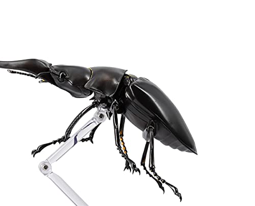 REVO GEO Prosopocoilus giraffa