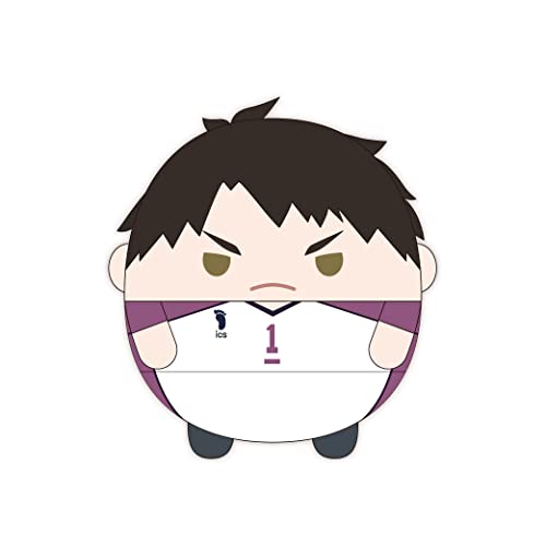 HQ-41 "Haikyu!!" Fuwakororin (M Size) 7 F Ushijima Wakatoshi