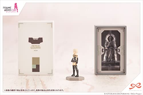 Sousai Shojo Teien x "Frame Arms Girl" After School Gourai Birthday Set