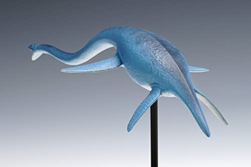 Futabasaurus suzukii