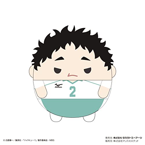 HQ-33 "Haikyu!!" Fuwakororin (M Size) 5 C Matsukawa Issei