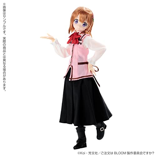 1/6 Pureneemo Character Series 142 "Gochumon wa Usagi Desu ka? Bloom" Cocoa