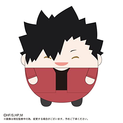 HQ-29 "Haikyu!!" Fuwakororin Big Special D Kuroo Tetsuro