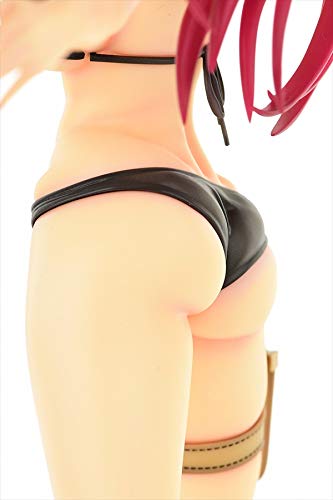 "Fairy Tail" Erza Scarlet Swimwear Gravure Style